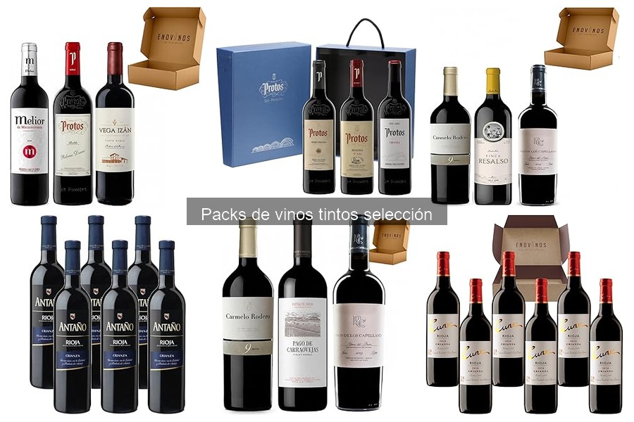 Mejores packs de vinos tintos para principiantes