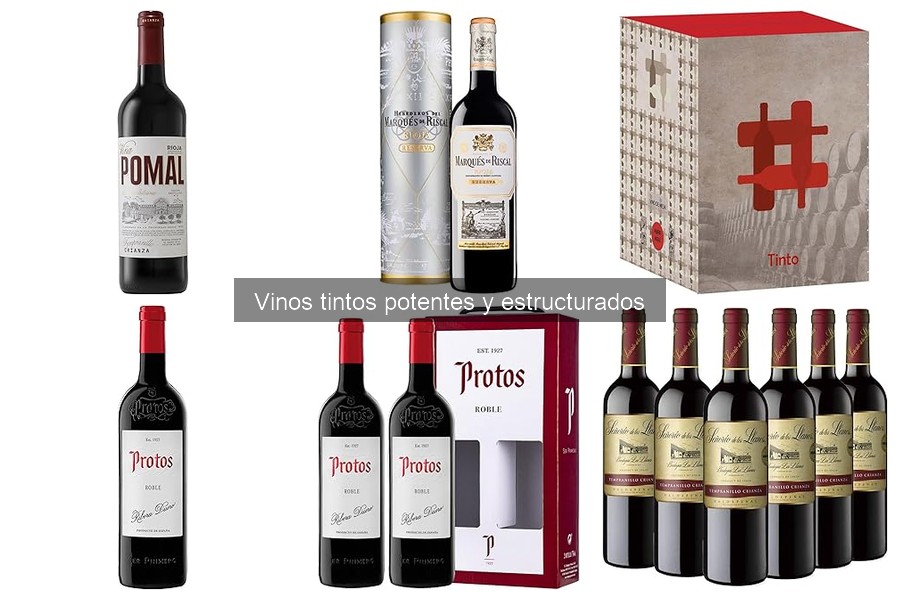 Mejores prácticas para almacenar vinos tintos potentes