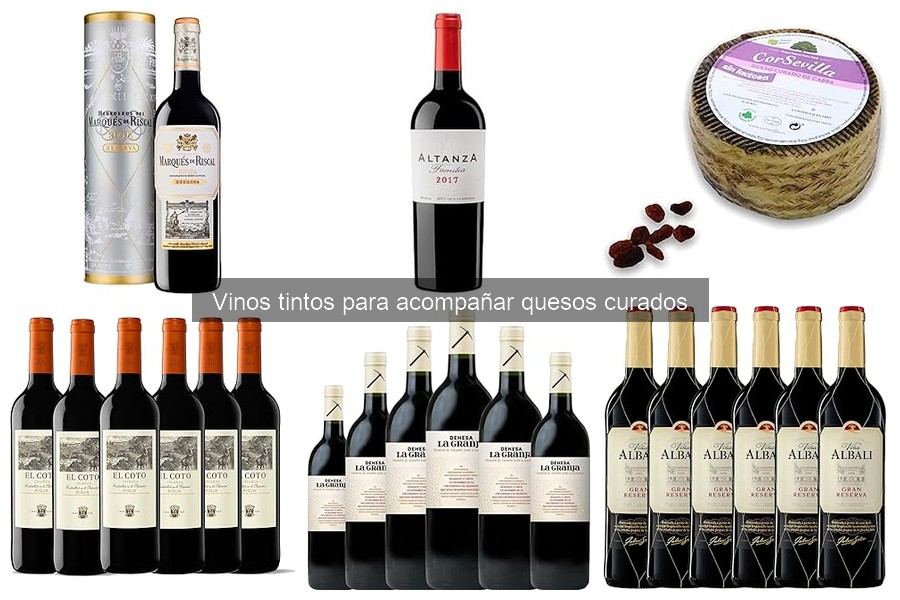Mejores Quesos Curados para Maridar con Vino Tinto
