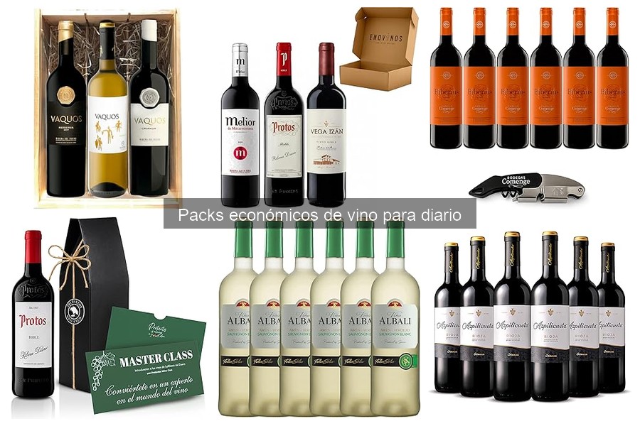 Mejores tiendas en línea para comprar packs económicos de vino