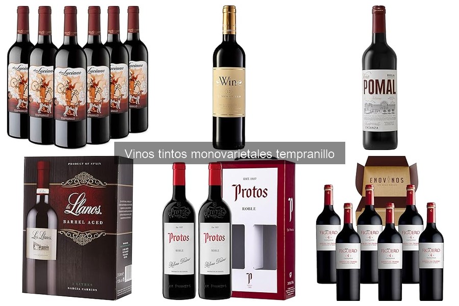 Mejores tiendas para comprar vino tinto tempranillo online