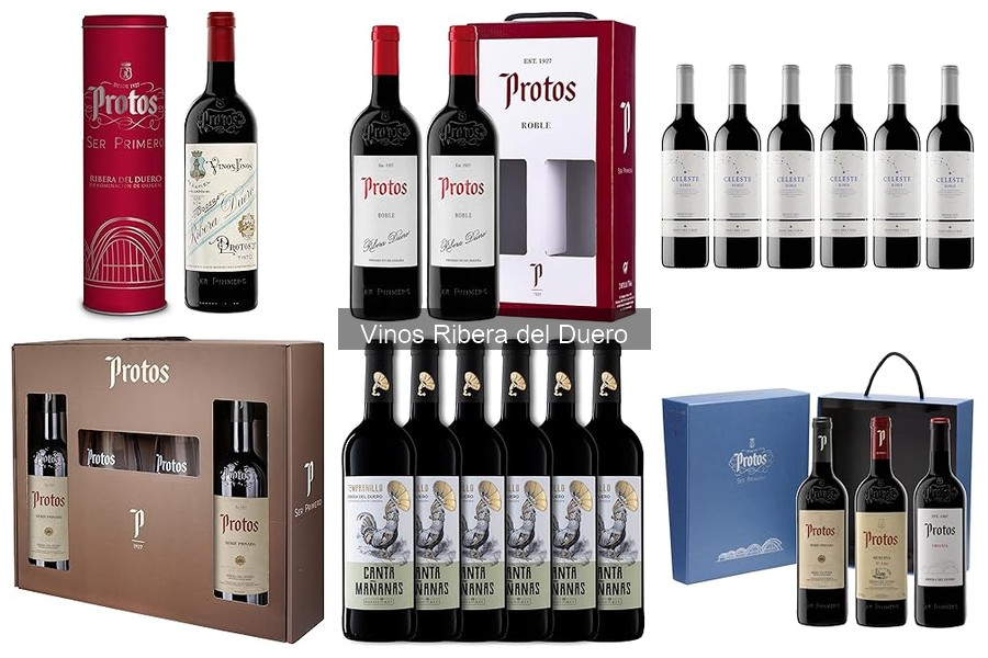 Mejores tiendas para comprar vinos Ribera del Duero online