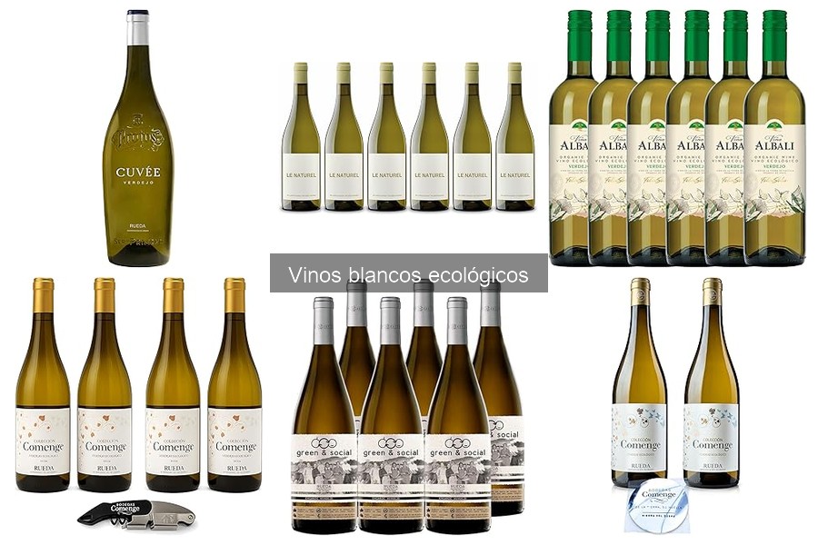 Mejores Vinos Blancos Ecológicos Calidad-Precio en 2024