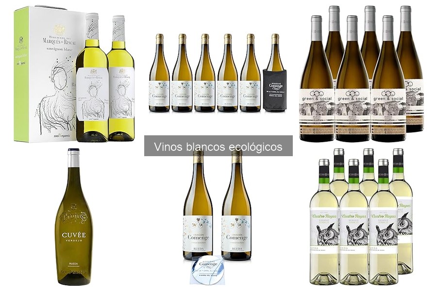 Mejores vinos blancos ecológicos para maridar con pescado
