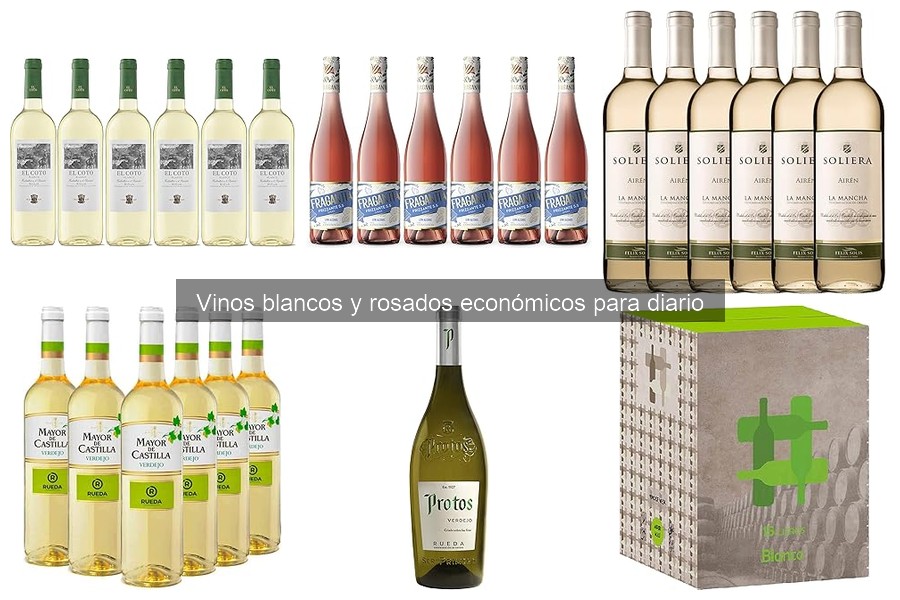 Mejores Vinos Blancos Económicos para el Día a Día