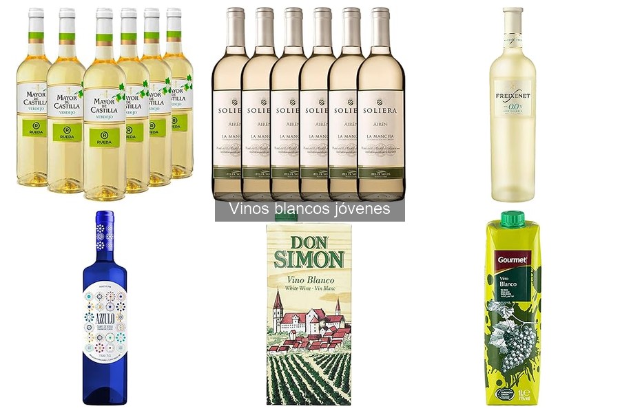 Mejores vinos blancos jóvenes para principiantes