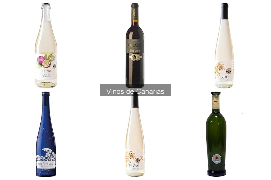 Mejores vinos de Canarias para ocasiones especiales