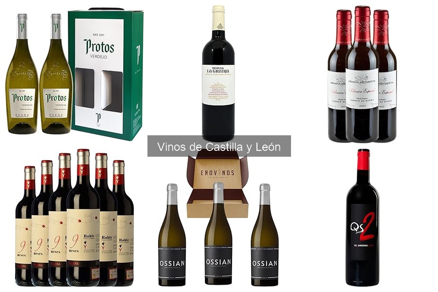 Mejores vinos de Castilla y León para maridar con comidas