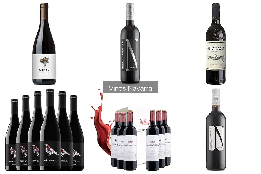 Mejores vinos de Navarra: Descubre sus joyas