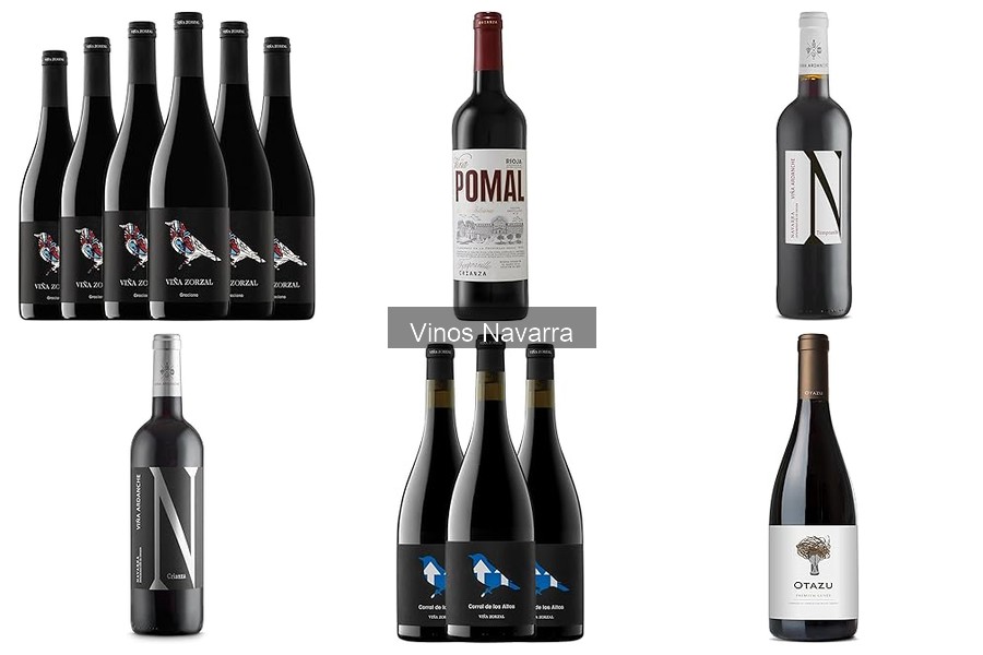 Mejores Vinos de Navarra para Regalar en Cualquier Ocasión