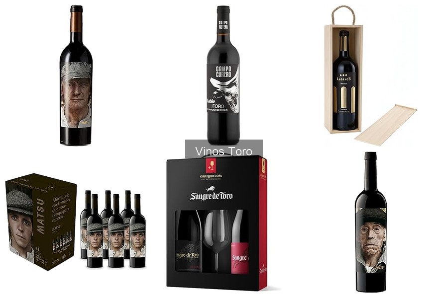 Mejores Vinos de Toro para Maridar con Quesos