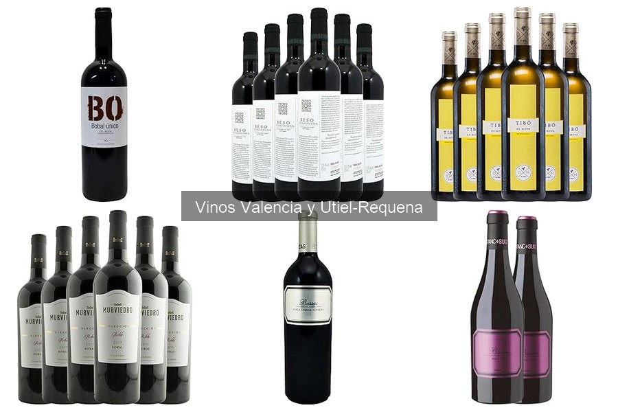 Mejores vinos de Valencia para principiantes: guía fácil