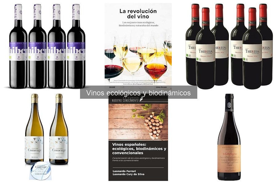 Mejores vinos ecológicos para principiantes en 2023