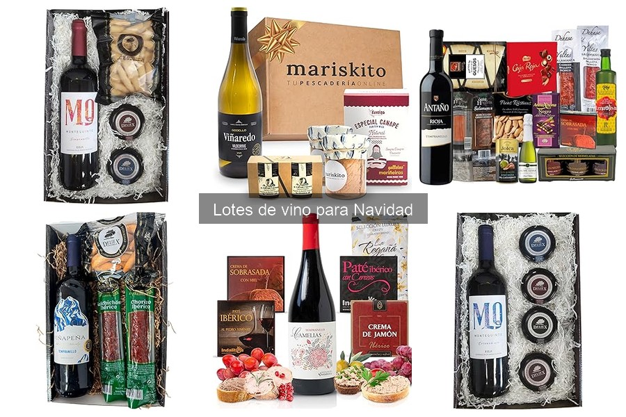 Mejores vinos para tu lote navideño: selección perfecta