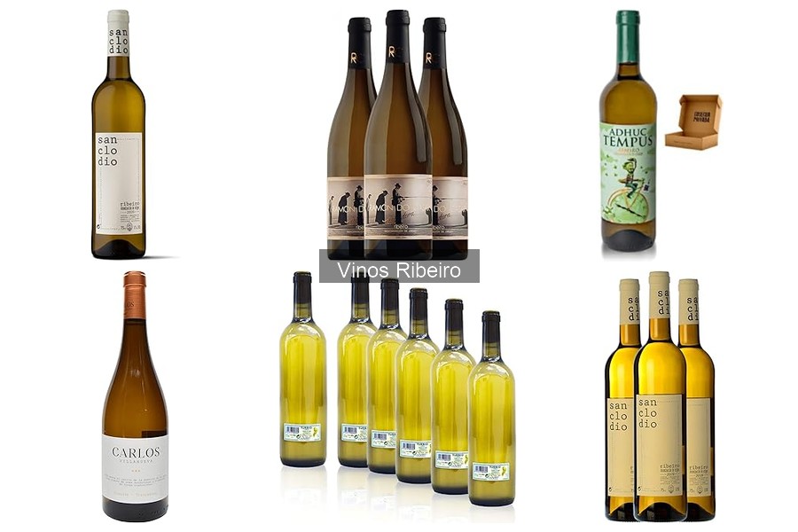 Mejores vinos Ribeiro para principiantes en 2023