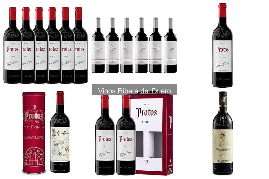 Mejores Vinos Ribera del Duero con Mejor Relación Calidad-Precio