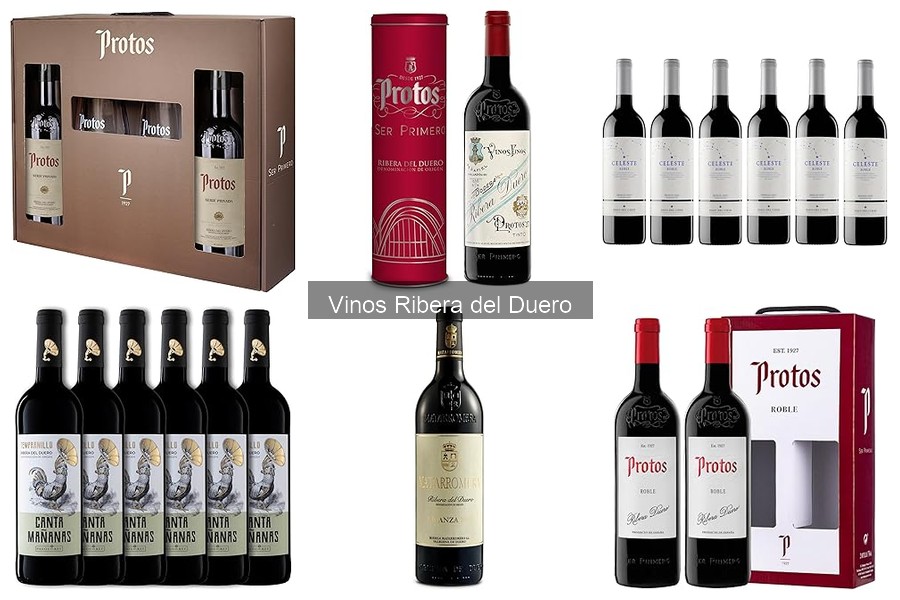 Mejores vinos Ribera del Duero para principiantes