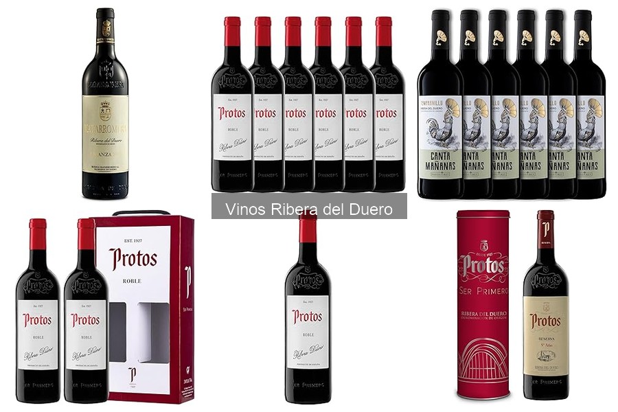Mejores vinos Ribera del Duero para regalar en ocasiones especiales