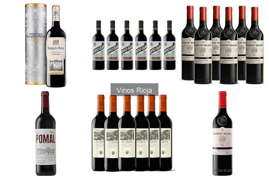 Mejores vinos Rioja para principiantes: 3 opciones accesibles