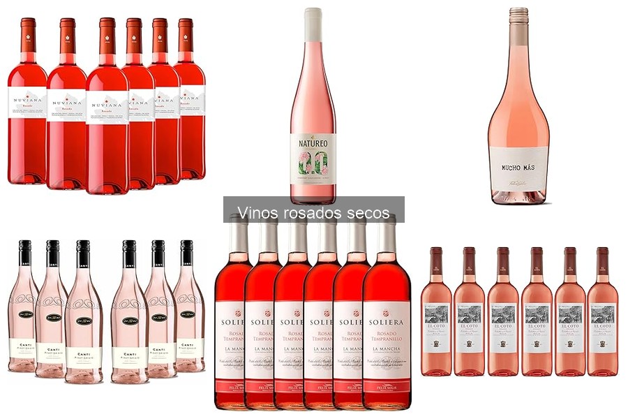 Mejores vinos rosados secos para ocasiones especiales