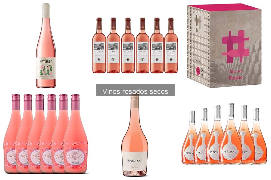 Mejores vinos rosados secos valorados en 2023