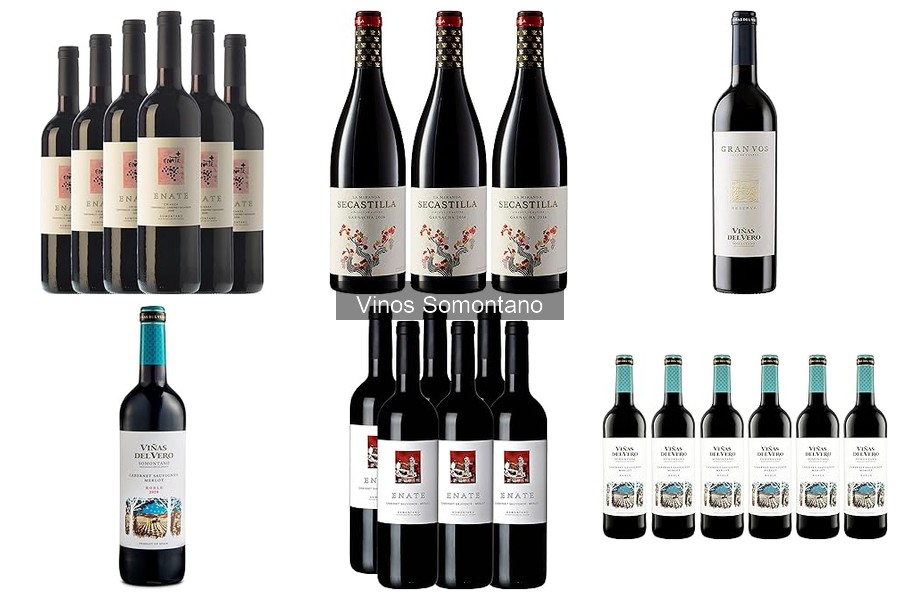 Mejores vinos Somontano para maridar con carne roja