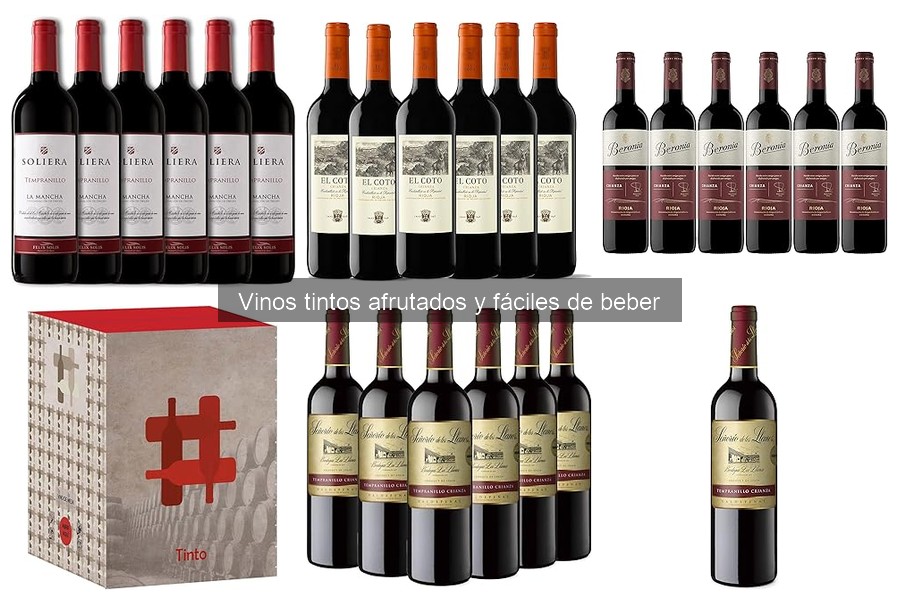 Mejores vinos tintos afrutados para principiantes