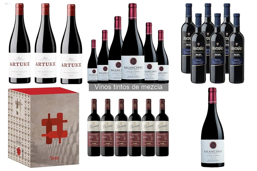 Mejores vinos tintos de mezcla para maridar con carne roja