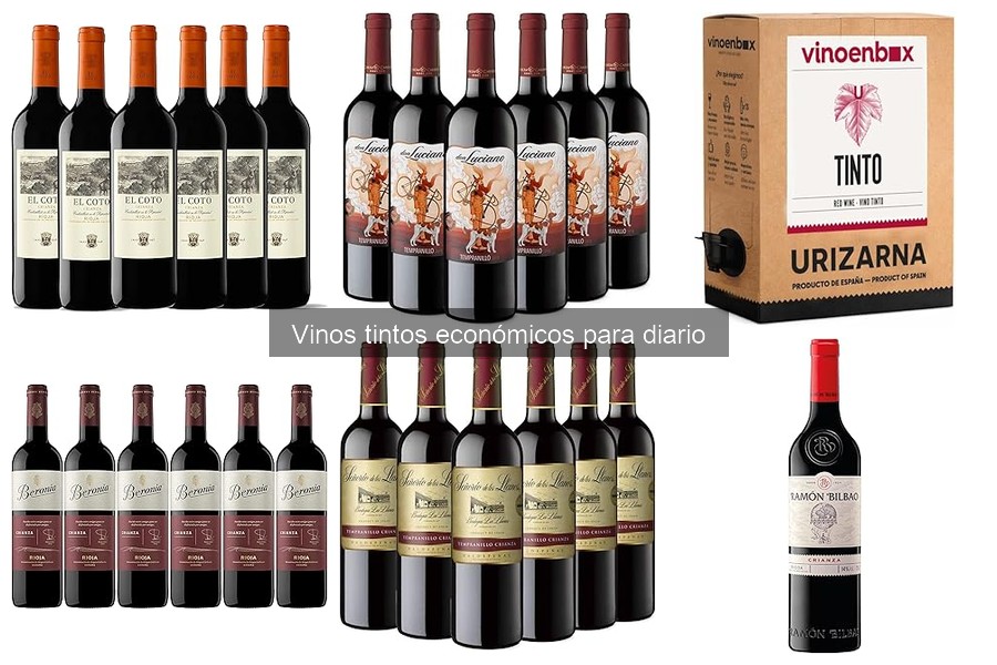 Mejores vinos tintos económicos para disfrutar a diario