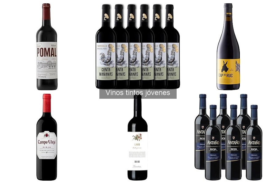Mejores vinos tintos jóvenes para principiantes