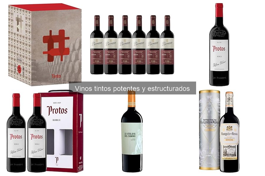 Mejores Vinos Tintos Potentes con Buena Relación Calidad-Precio