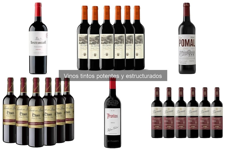 Mejores Vinos Tintos Potentes para Cenas Elegantes
