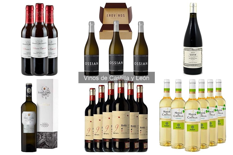 Ofertas y Descuentos en Vinos de Castilla y León