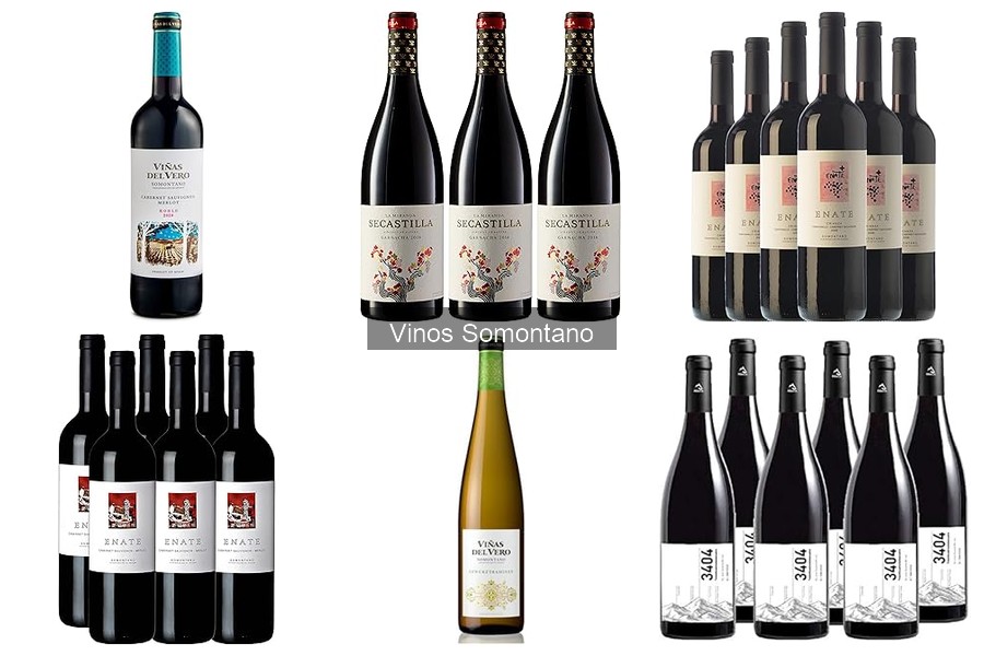 Opiniones sobre los Vinos Somontano: Variedades y Reseñas