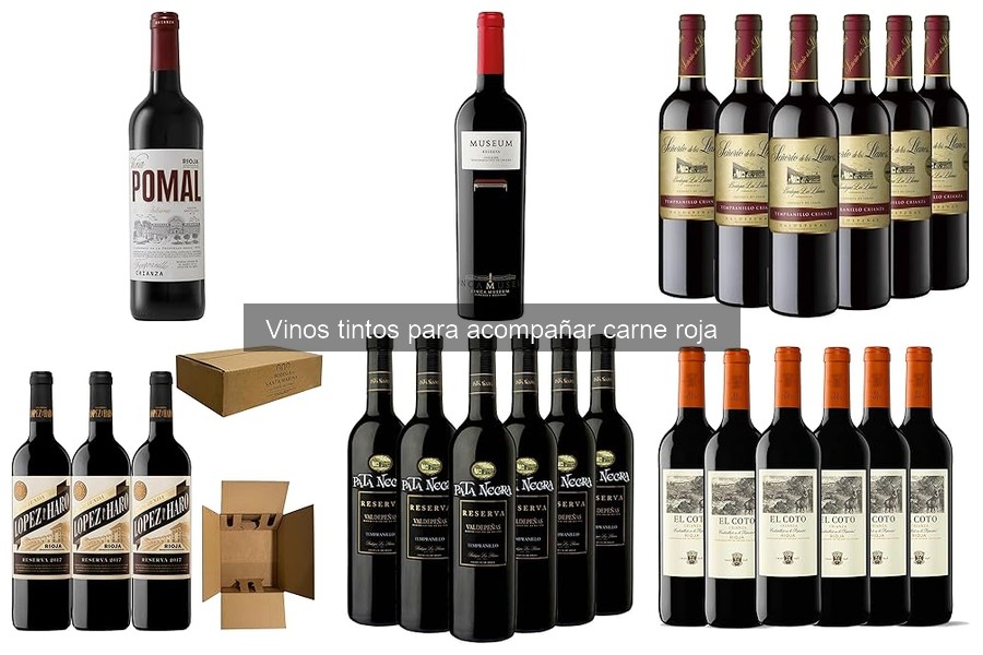 Opiniones sobre Vinos Tintos para Maridar Carne Roja