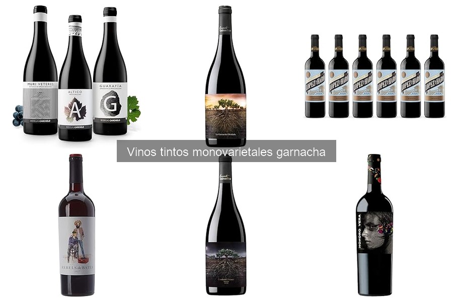 Precio promedio de vinos tintos garnacha: guía de compra