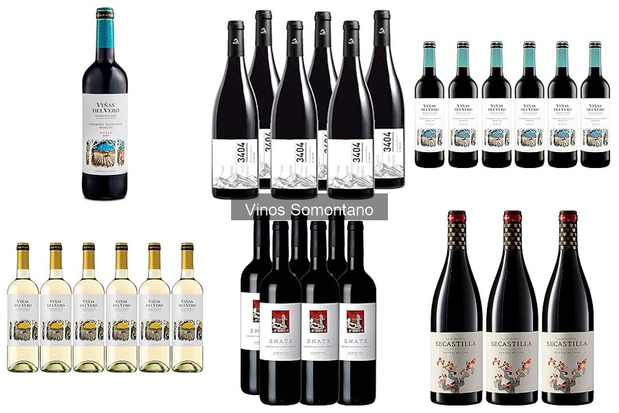 Problemas comunes al elegir vino Somontano y soluciones