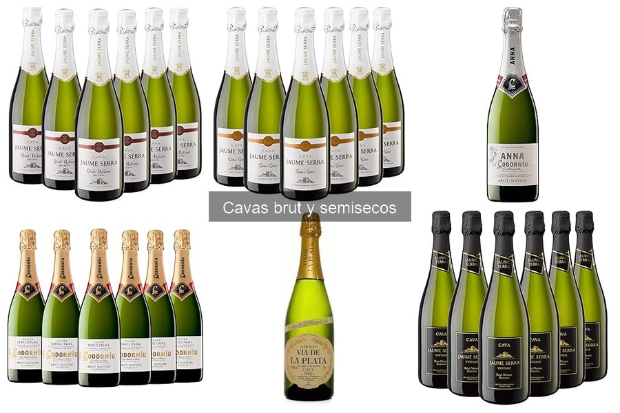 ¿Qué es el cava brut y semiseco? Explicación y características