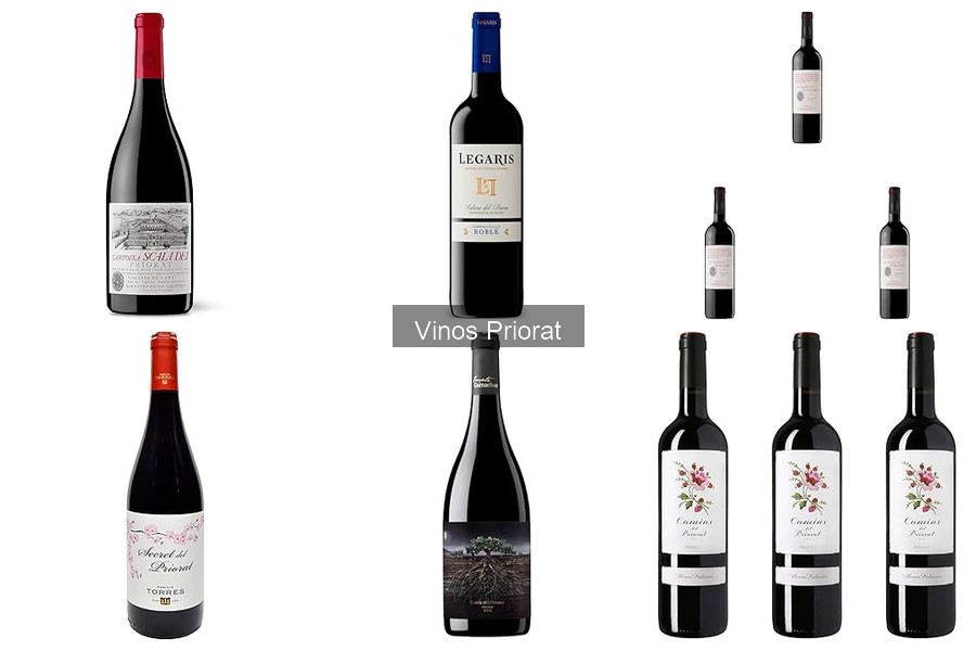 ¿Qué es el vino Priorat? Historia y características