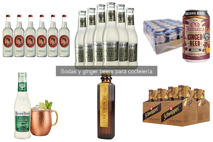 ¿Qué son las sodas y ginger beers? Descubre su origen y uso