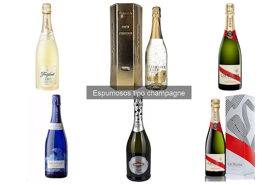 ¿Qué son los espumosos tipo champagne? Guía fácil
