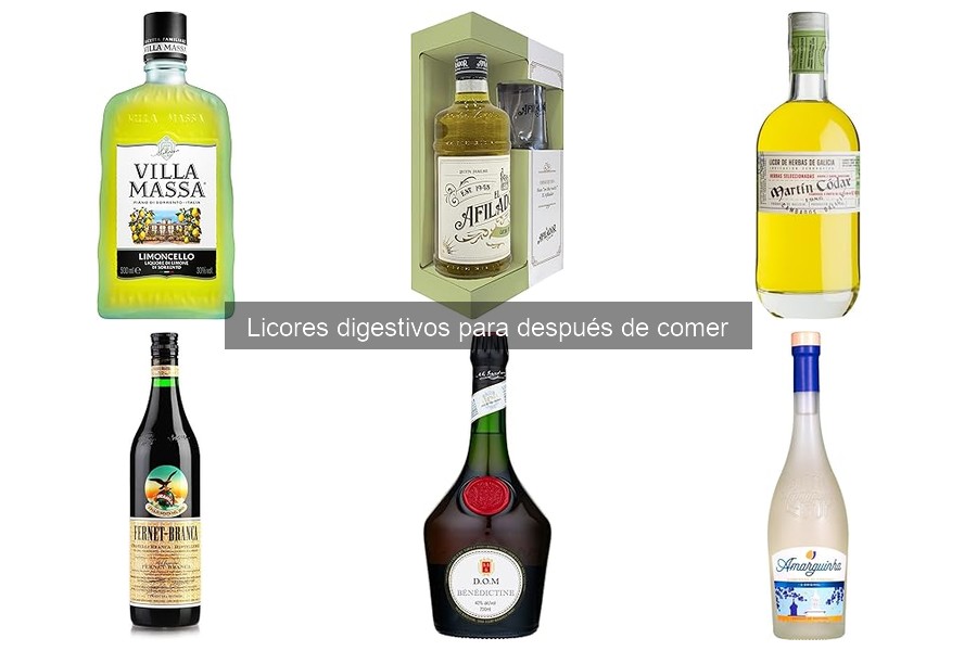 ¿Qué son los licores digestivos? Descubre su función