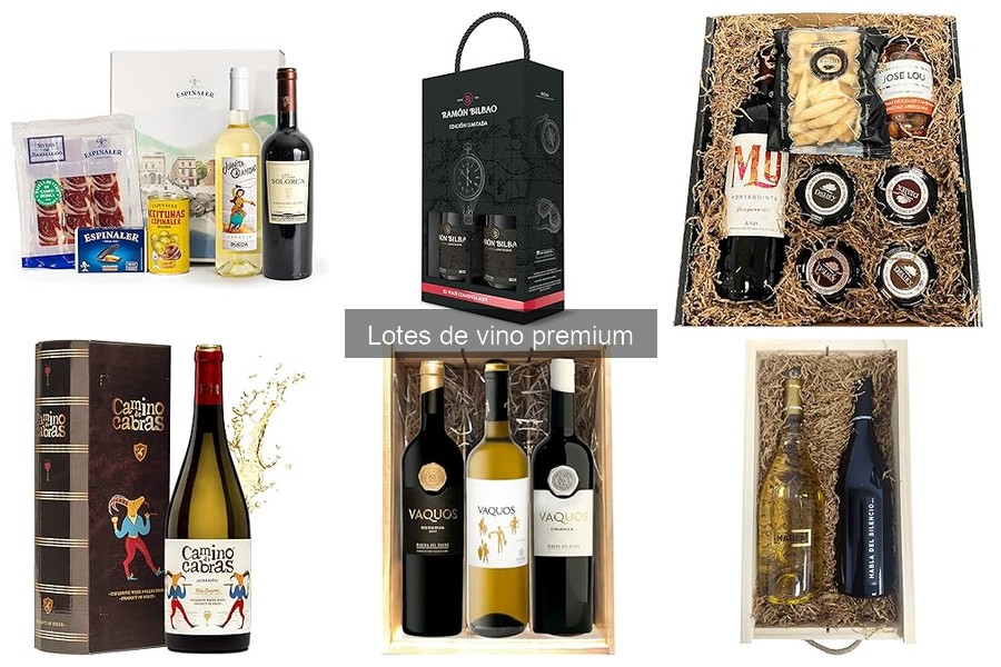 ¿Qué son los lotes de vino premium? Características y usos