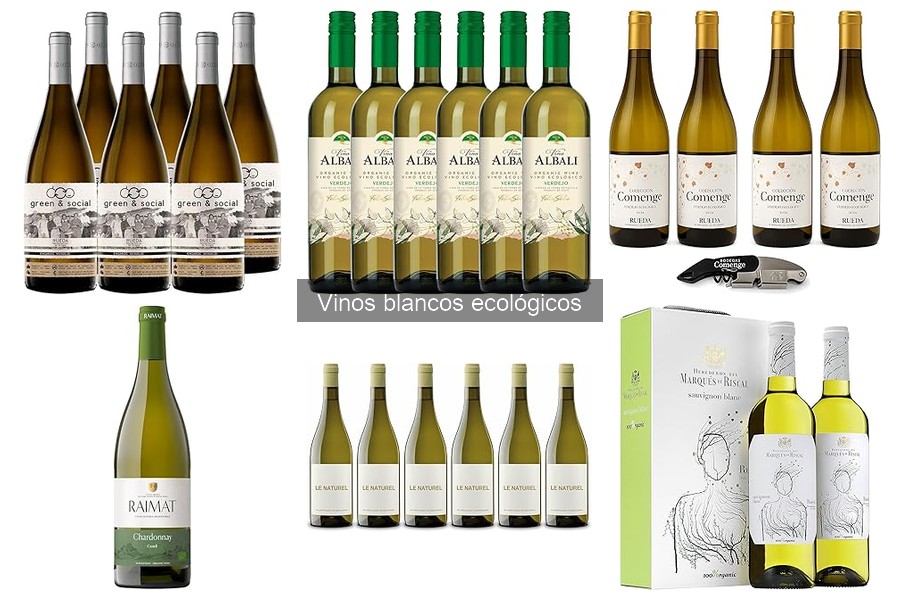 Qué son los vinos blancos ecológicos: características y beneficios