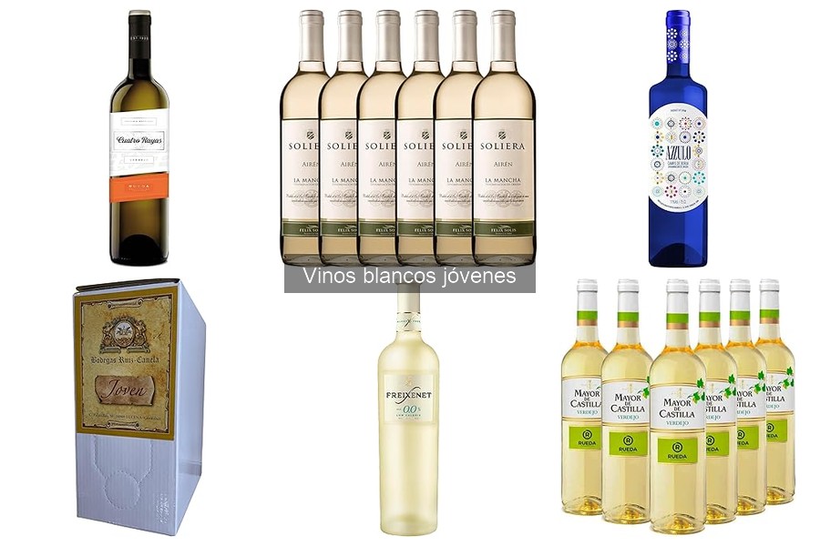 ¿Qué son los vinos blancos jóvenes? Características y más