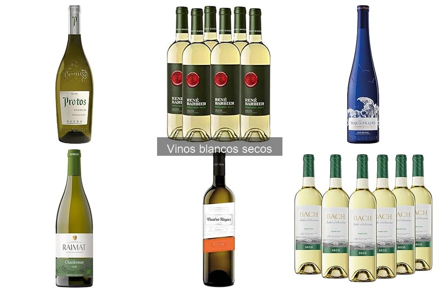 ¿Qué son los vinos blancos secos? Guía y características
