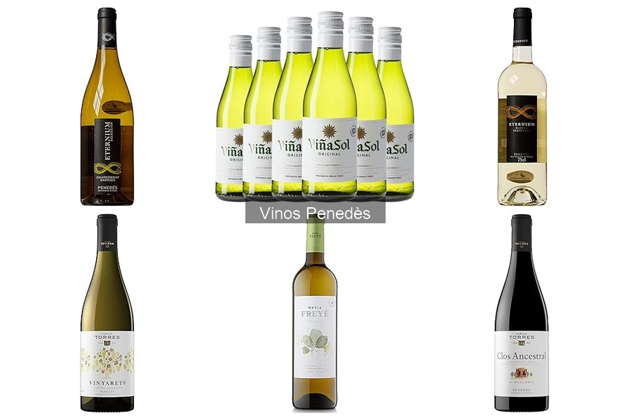 Qué son los vinos Penedès y sus variedades únicas