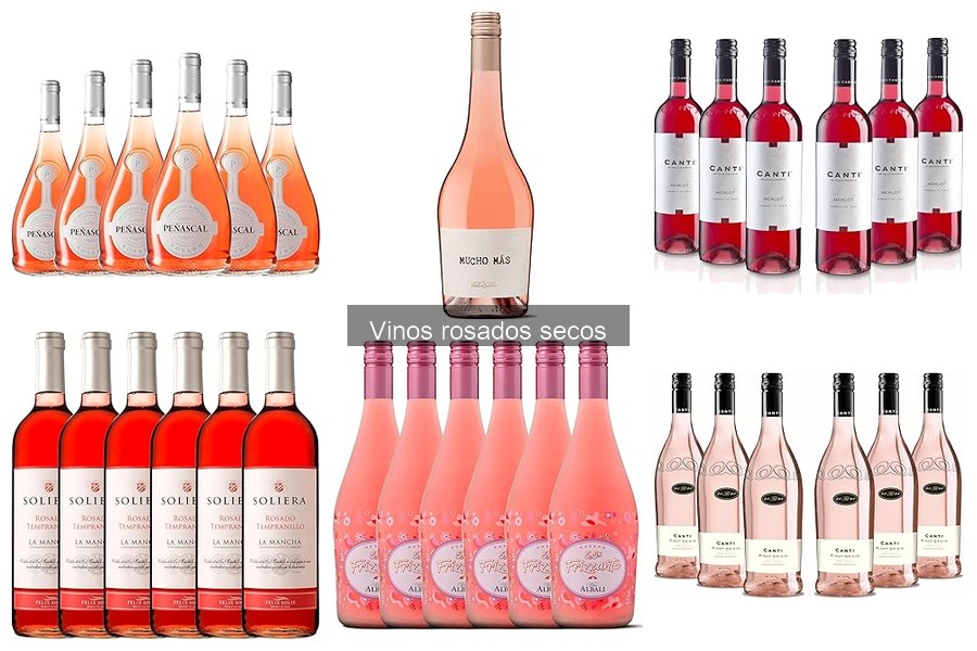 ¿Qué son los vinos rosados secos? Características y más