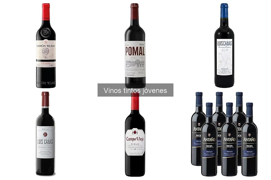 ¿Qué son los vinos tintos jóvenes? Características y producción