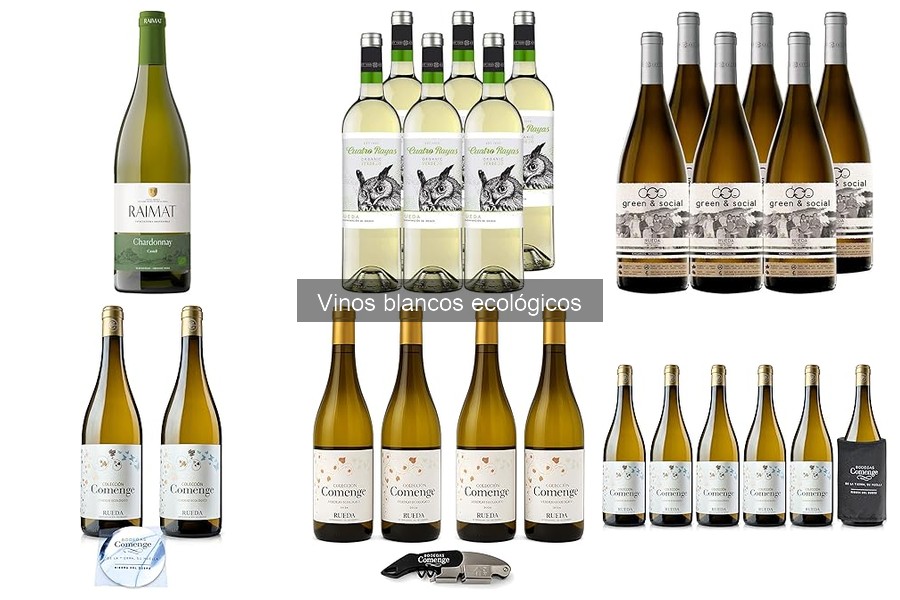 Recetas de Cócteles con Vino Blanco Ecológico para Innovar